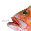 Clara Luzia - We Are Fish